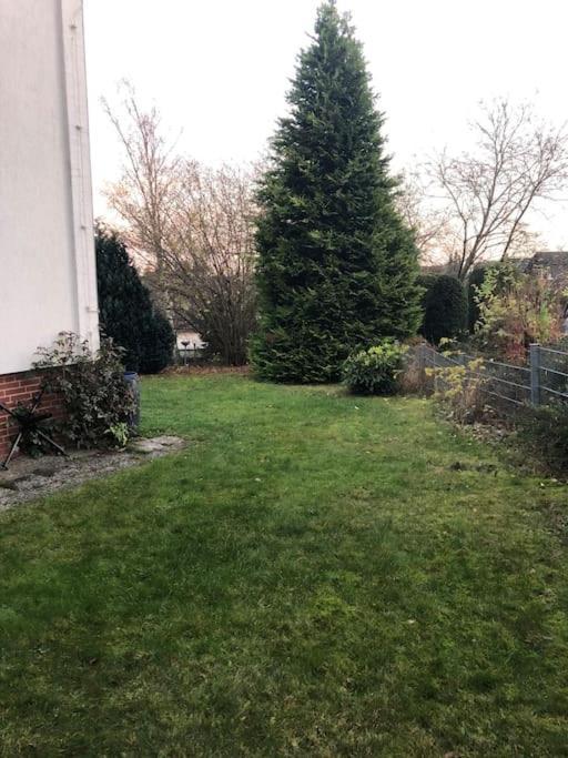 Ferienwohnung Bergbluete Braunlage Exteriör bild